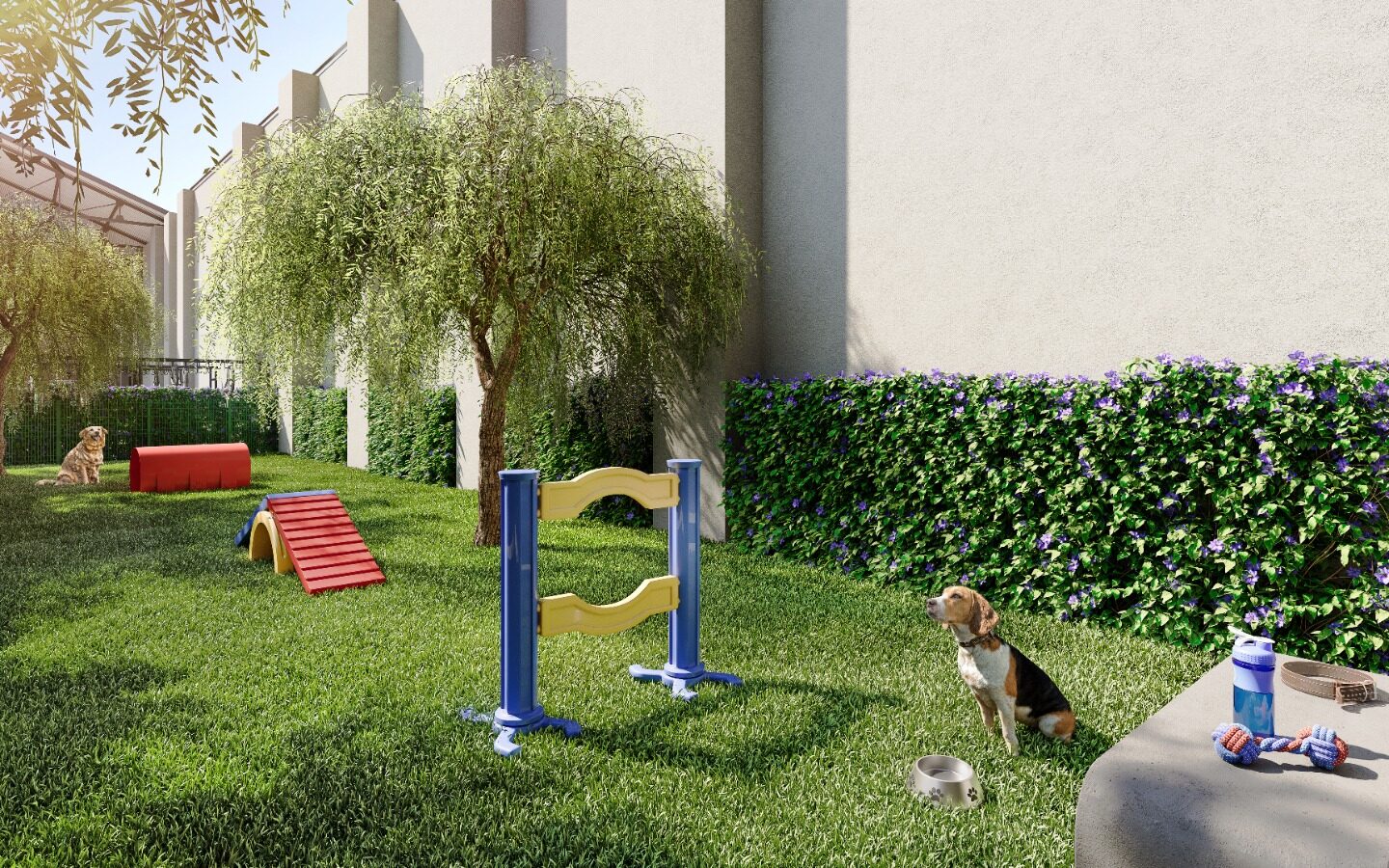 Pet place